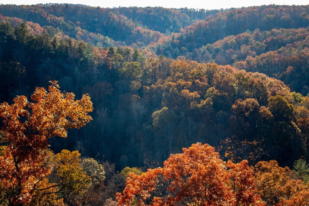 Gatlinburg Tennessee Through History
