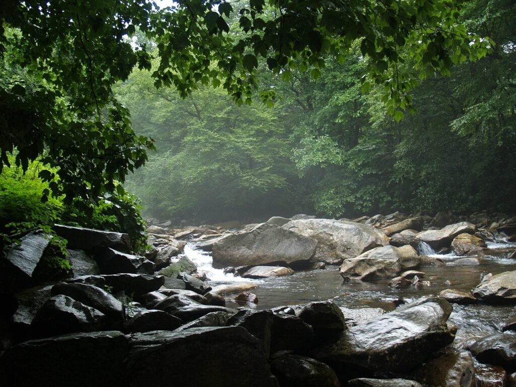 Gatlinburg Tennessee Through History
