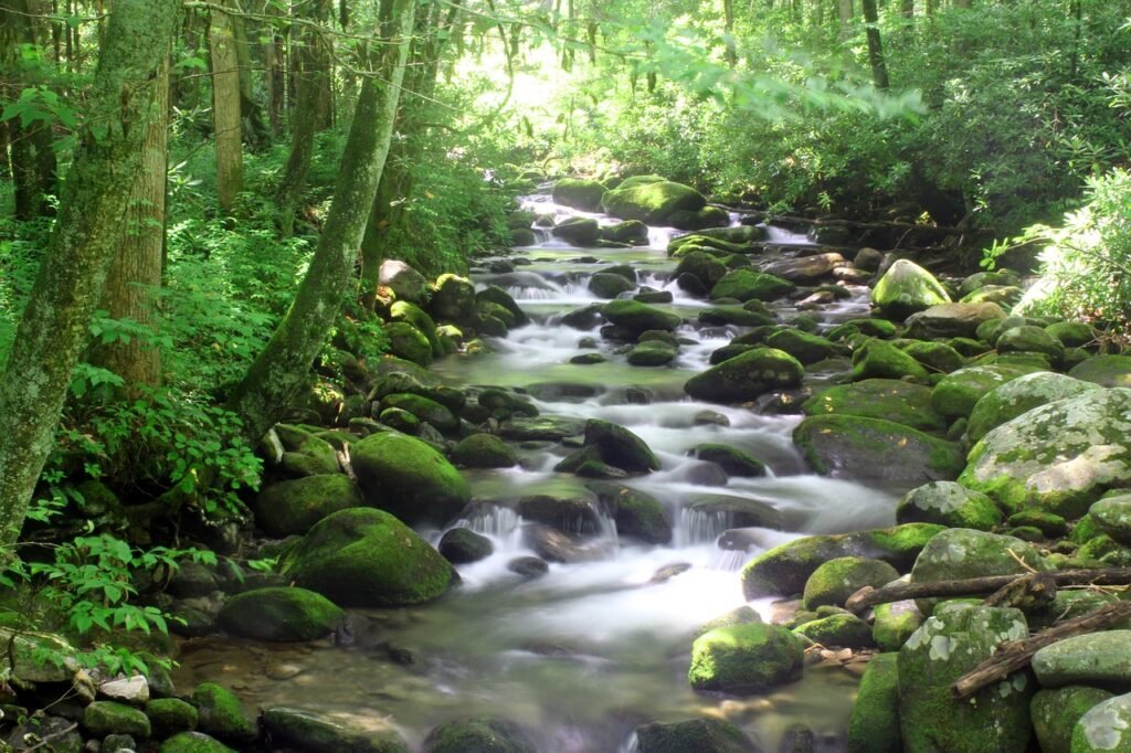 Should You Visit Gatlinburg and Pigeon Forge