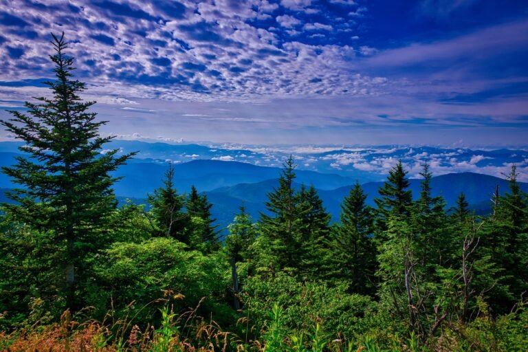 The Best Time to Visit Gatlinburg for Perfect Weather