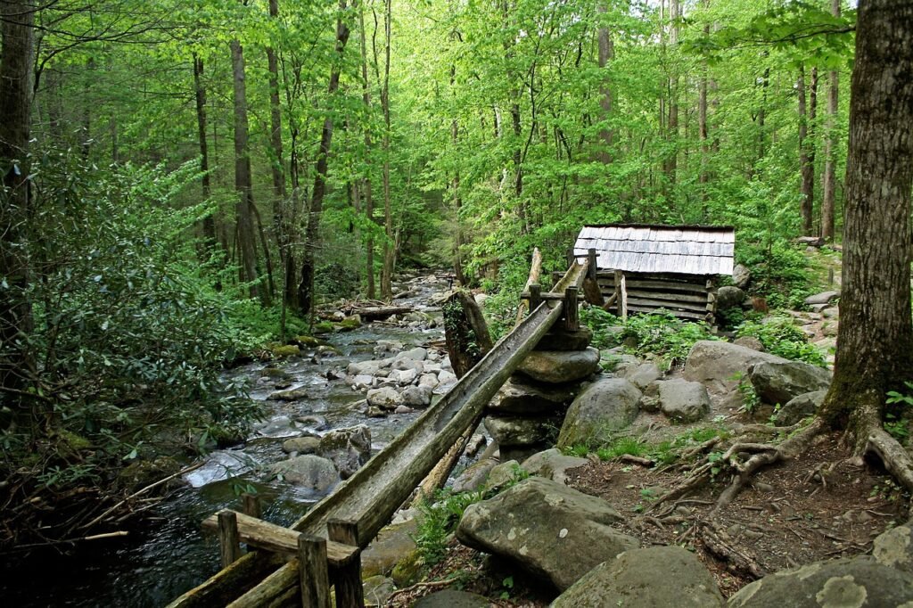 The Best Time to Visit Gatlinburg for Perfect Weather