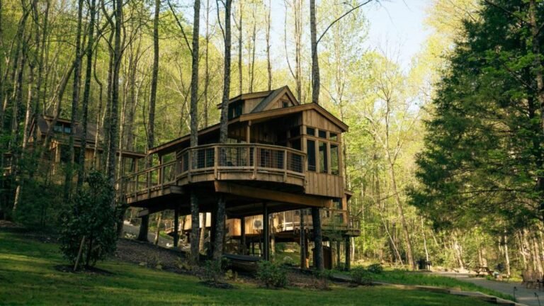 The magnolia in treehouse grove at norton creek review 1