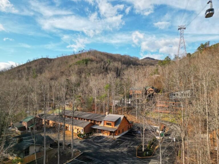 The timber at holly branch review 1
