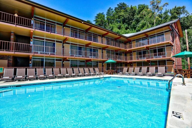 Wild bear inn review 2