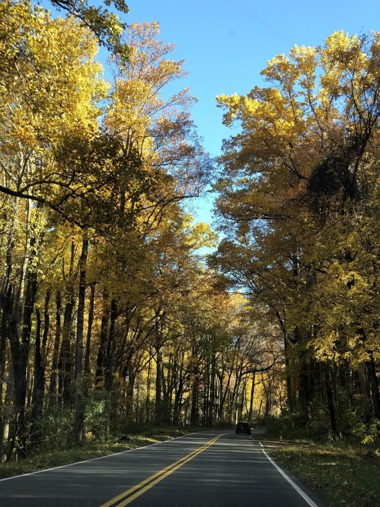 Which Is Closer to the Smoky Mountains, Gatlinburg or Pigeon Forge