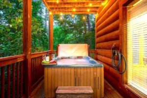 Vbro Cabin near Dollywood