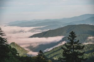 Breathtaking view of cloud-covered mountains at dawn with lush forests.