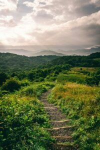 Hiking in the smoky mountains