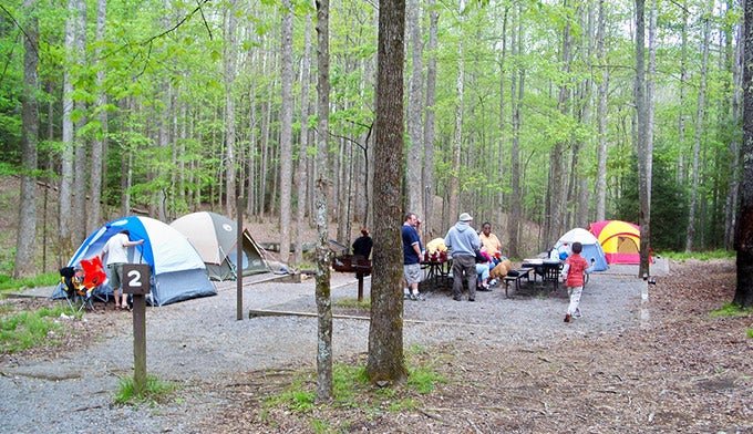 Https://www.mysmokymountainpark.com/where-to-stay-camp-eat/camping-rv-parks/where-should-i-camp-in-smoky/ — Ultimate Best Campsites 2026