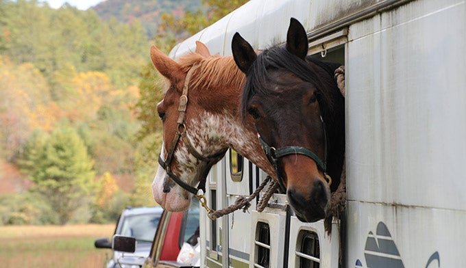 Https://www.mysmokymountainpark.com/where-to-stay-camp-eat/camping-rv-parks/where-should-i-camp-in-smoky/ — Ultimate Best Campsites 2026
